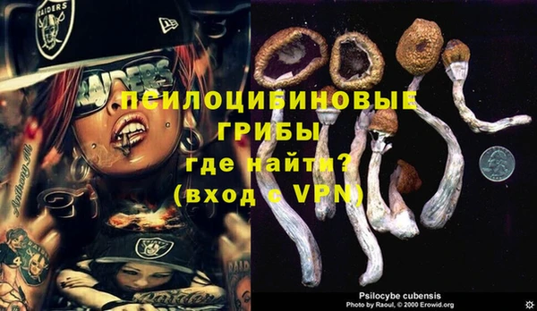 прущий лед Балахна
