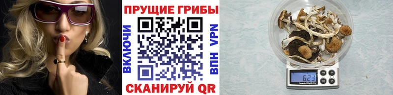 Псилоцибиновые грибы прущие грибы Ногинск