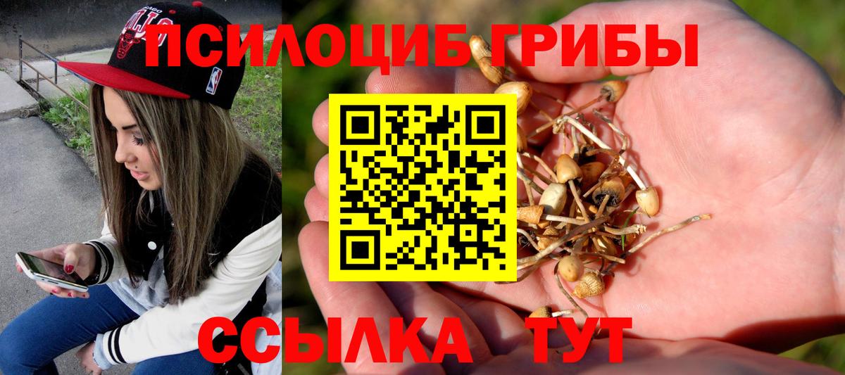 Галлюциногенные грибы Psilocybe  Вход с VPN  Ногинск 